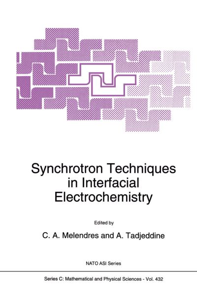 Cover for C Melendres · Synchrotron Techniques in Interfacial Electrochemistry - NATO Science Series C (Paperback Book) [Softcover reprint of hardcover 1st ed. 1994 edition] (2010)