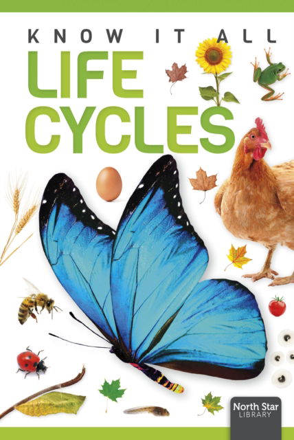 Life Cycles - Louise Nelson - Books - North Star Editions - 9798894710068 - August 1, 2025