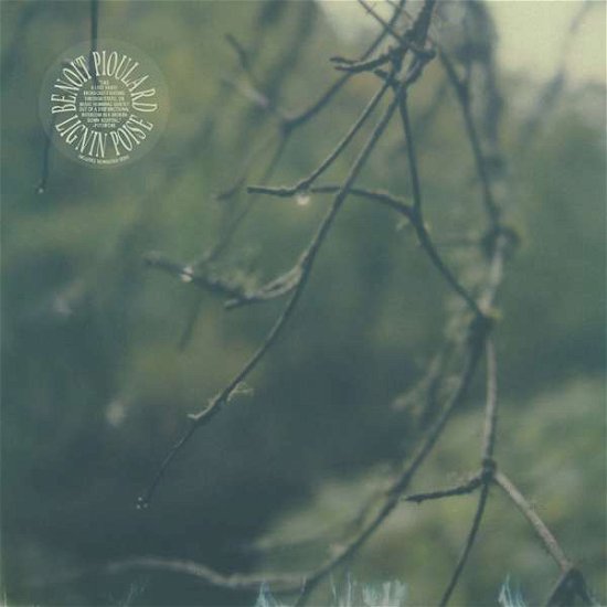 Cover for Benoit Pioulard · Lignin Poise (LP) (2017)