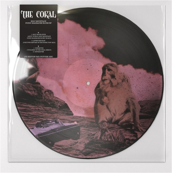 Cover for The Coral · Holy Mountain Picnic Massacre EP (LP) (2019)