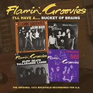 Ill Have A...Bucket Of Brains - Flamin Groovies - Musiikki - GROWN UP WRONG! - 9346948040069 - perjantai 29. marraskuuta 2019