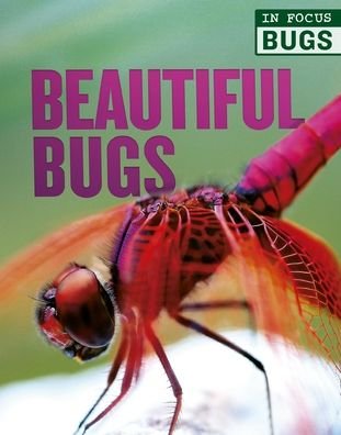 Cover for Camilla de la Bedoyere · Beautiful Bugs (Bok) (2020)