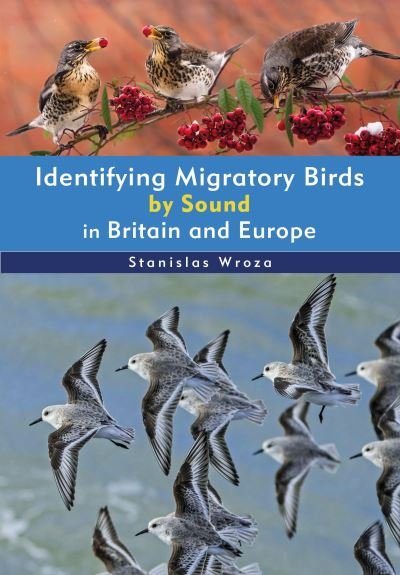 Stanislas Wroza · Identifying Migratory Birds by Sound in Britain and Europe (Taschenbuch) (2024)