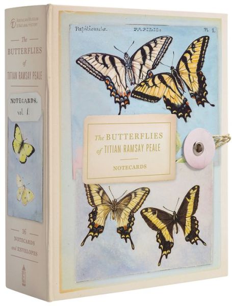 Cover for American Museum of Natural History · The Butterflies of Titian Ramsay Peale Notecards (Flashcards) (2015)