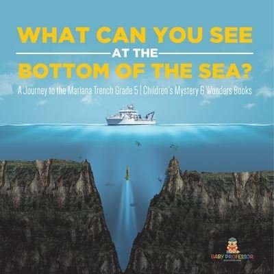 What Can You See at the Bottom of the Sea? a Journey into the Mariana - Baby Professor - Böcker - Baby Professor - 9781541954069 - 11 januari 2021