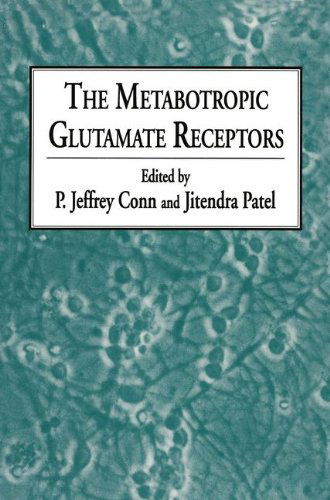 Cover for P. Jeffrey Conn · The Metabotropic Glutamate Receptors - The Receptors (Paperback Book) [Softcover reprint of hardcover 1st ed. 1995 edition] (2010)