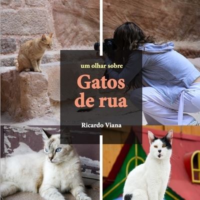 Cover for Ricardo Viana · Gatos de rua (Paperback Book) (2019)