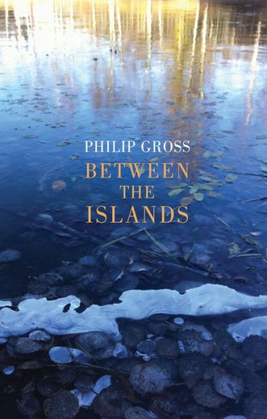 Between the Islands - Philip Gross - Books - Bloodaxe Books Ltd - 9781780375069 - March 26, 2020