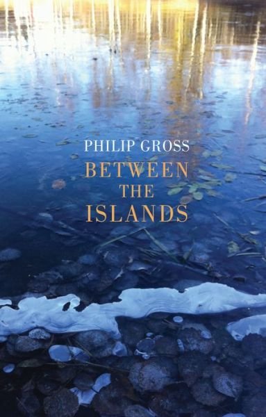 Cover for Philip Gross · Between the Islands (Paperback Book) (2020)