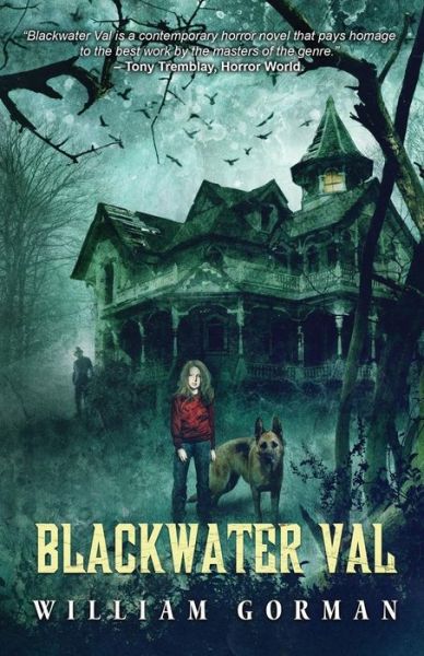 Cover for William Gorman · Blackwater Val (Paperback Book) (2016)