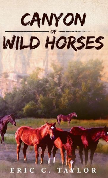 Cover for Eric C Taylor · Canyon of Wild Horses (Gebundenes Buch) (2017)