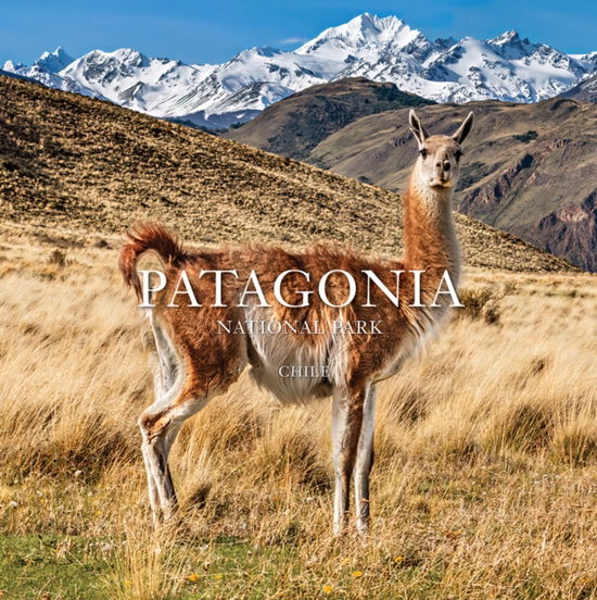 Michelle Bachelet · Patagonia National Park: Chile: Chile (Pocketbok) (2024)