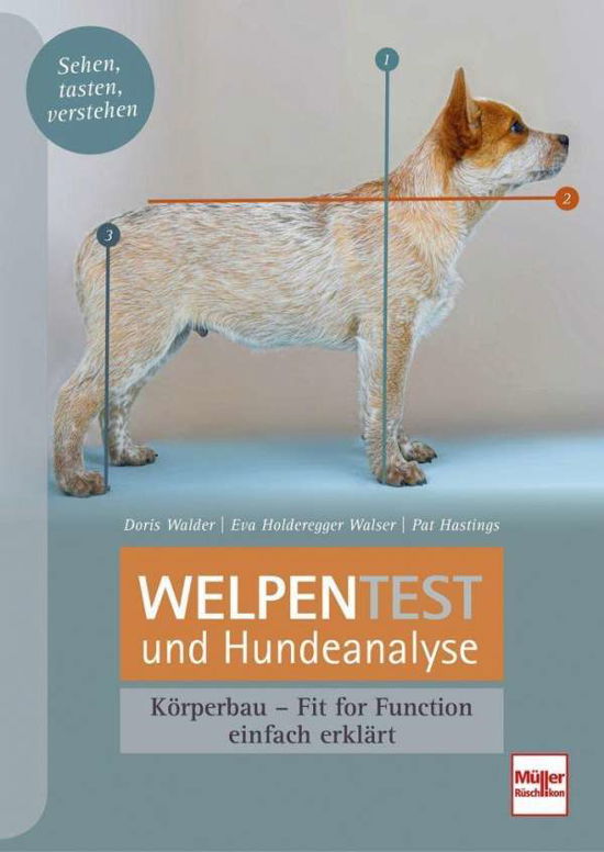 Cover for Hastings · Welpentest und Hundeanalyse (Bog)