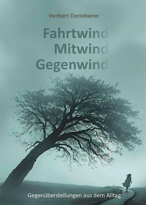 Cover for Herbert Dorlebierer · Fahrtwind, Mitwind, Gegenwind (Book) (2024)