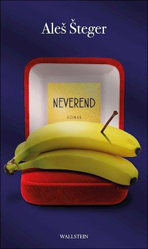 Cover for Ales Steger · Neverend (Hardcover Book) (2022)