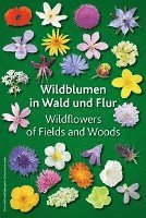 Cover for Keller-Krische · Wildblumen in Wald und Flur (Board book) (2017)