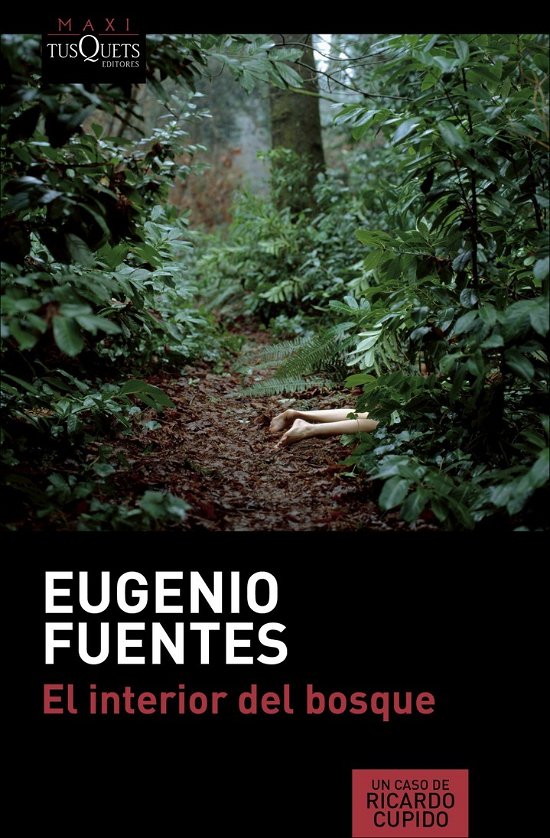 Cover for Fuentes · El interior del bosque (Bog)