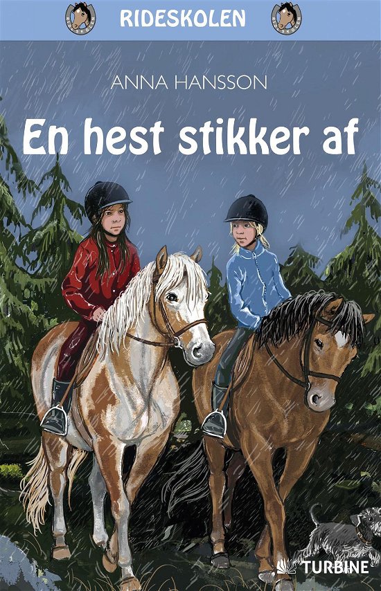 Cover for Anna Hansson · Rideskolen: en Hest Stikker af (Hardcover bog) [1. udgave] (2016)