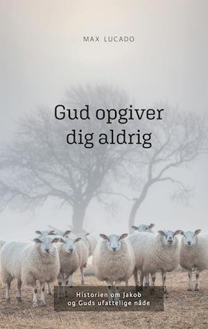 Cover for Max Lucado · Gud opgiver dig aldrig (Bound Book) [1st edition] (2024)