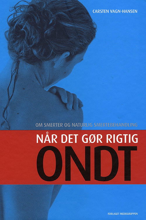 Cover for Carsten Vagn-Hansen · Når det gør rigtig ondt (Hardcover Book) [1st edition] [Hardback] (2009)