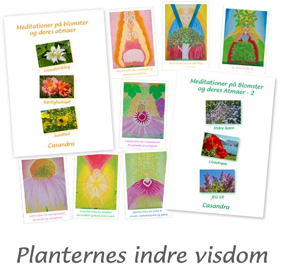 Cover for Casandra · Planternes indre visdom (SPEL) [1:a utgåva] (2023)