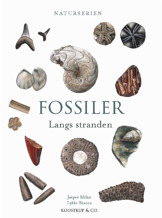 Cover for Jesper Milan · Naturserien: FOSSILER (Bound Book) [2e uitgave] (2024)