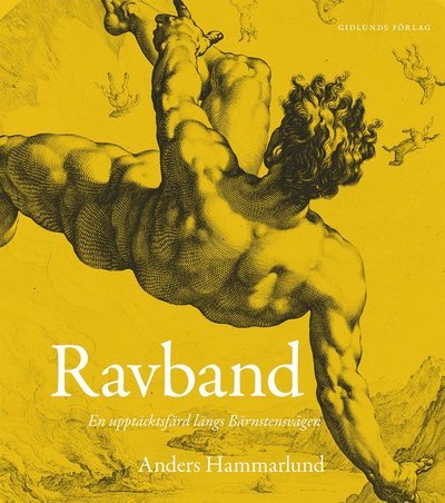 Cover for Anders Hammarlund · Ravband : en upptäcktsfärd längs Bärnstensvägen (Bok) (2019)