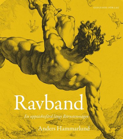 Ravband : en upptäcktsfärd längs Bärnstensvägen - Anders Hammarlund - Books - Gidlunds förlag - 9789178444069 - October 25, 2019