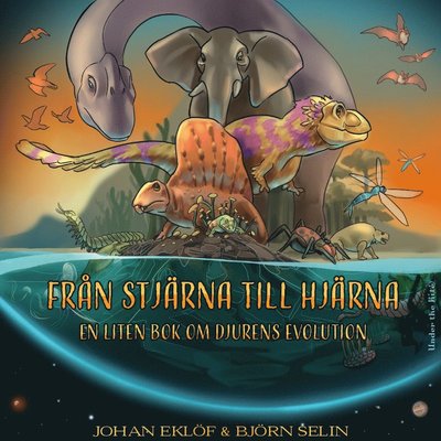 Cover for Johan Eklöf · Från stjärna till hjärna : en liten bok om djurens evolution (Inbunden Bok) (2019)