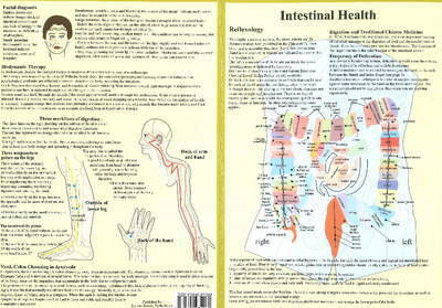 Cover for Jan van Baarle · Intestinal Health -- Double Sided A4 (Plakat) (2015)