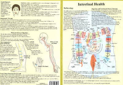 Intestinal Health -- Double Sided A4 - Jan van Baarle - Merchandise - Jan Van Baarle - 9789491974069 - June 8, 2015