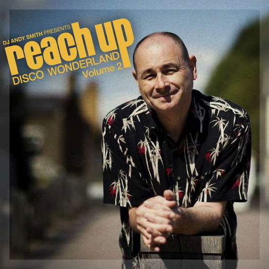 DJ Andy Smith Presents Reach Up - Disco Wonderland Vol. 2 - DJ Andy Smith - Música - POP - 0194491100070 - 24 de janeiro de 2020