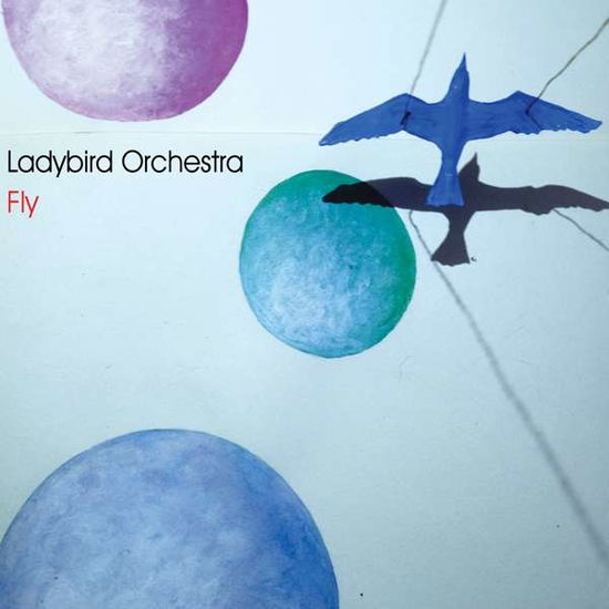 Cover for Ladybird Orchestra · Ladybird Orchestra-fly (CD) (2021)