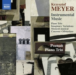 Cover for Poznan Piano Trio · Meyercanzona For Cello (CD) (2015)