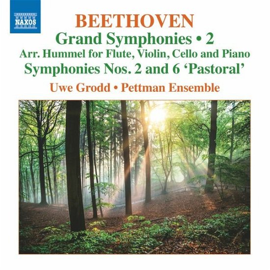 Beethoven: Grand Symphonies 2: Symphony Nos. 2 & 6 Pastoral - Grodd, Uwe / Pettman Ense - Musikk - NAXOS - 0747313420070 - 25. november 2022