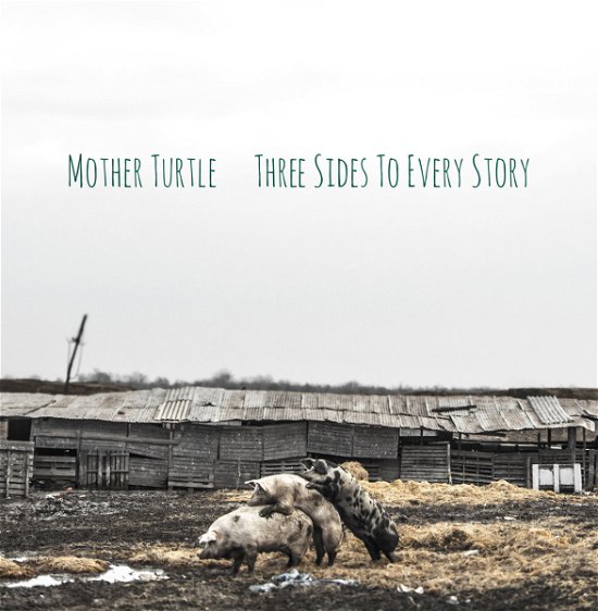 Three Sides To Every Story - Mother Turtle - Music - SOUND EFFECT - 2090504847070 - November 22, 2019