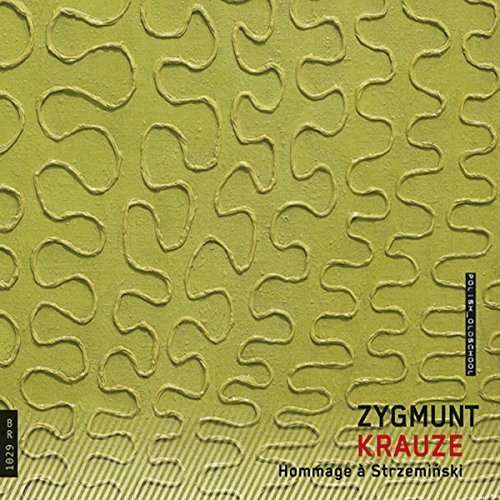 Cover for Krauze / Polish Radio National Symphony Orchestra · Hommage a Strzeminski (CD) (2015)