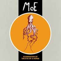 Cover for MoE · Examination of the Eye of a Horse (CD) (2016)