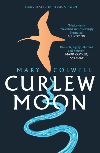 Cover for Mary Colwell · Curlew Moon (Pocketbok) (2019)