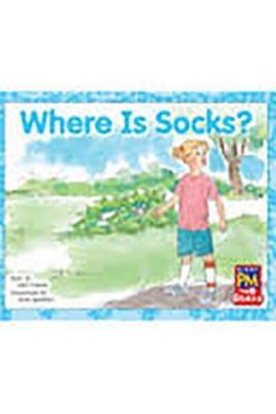 Cover for Rigby · Where Is Socks? : Leveled Reader Bookroom Package Red (Paperback Bog) (2012)