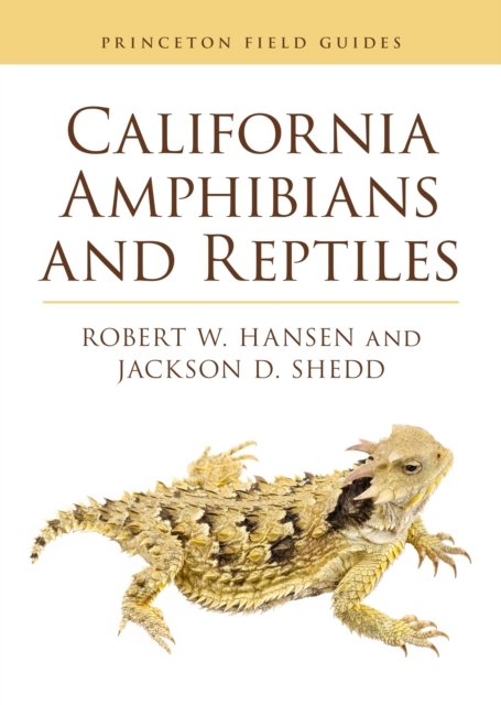 Cover for Robert Hansen · California Amphibians and Reptiles - Princeton Field Guides (Paperback Bog) (2025)
