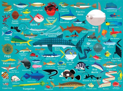 Ocean Life 1000pc Family Puzzle - Mudpuppy - Jogo de tabuleiro - Galison - 9780735349070 - 16 de janeiro de 2017