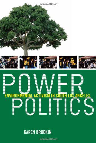 Cover for Karen Brodkin · Power Politics: Environmental Activism in South Los Angeles (Hardcover Book) (2009)