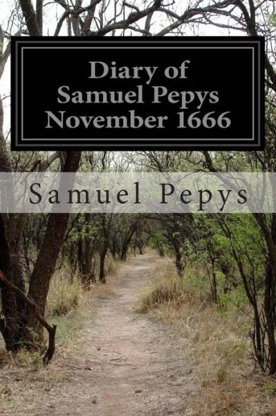 Diary of Samuel Pepys November 1666 - Samuel Pepys - Livros - Createspace - 9781502838070 - 15 de outubro de 2014