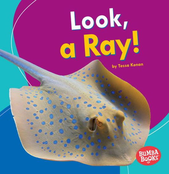 Look, a Ray! - Tessa Kenan - Książki - Lerner Publishing Group - 9781512415070 - 1 sierpnia 2016