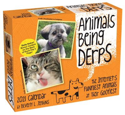 Cover for Beverly L. Jenkins · Animals Being Derps 2021 Day-to-Day Calendar: The Internet's Funniest Animals at Their Goofiest (Calendar) (2020)