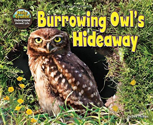 Burrowing Owl's Hideaway (Hole Truth! Underground Animal Life) - Dee Phillips - Książki - Bearport Publishing - 9781627243070 - 1 sierpnia 2014