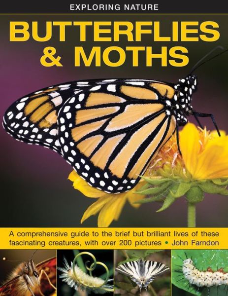 Cover for Farndon John · Exploring Nature: Butterflies &amp; Moths (Hardcover Book) (2015)