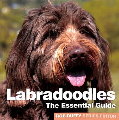 Cover for Rob Duffy · Labradoodles: The Essential Guide (Paperback Book) (2020)