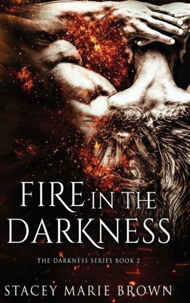 Cover for Stacey Marie Brown · Fire In The Darkness (Hardcover Book) (2014)